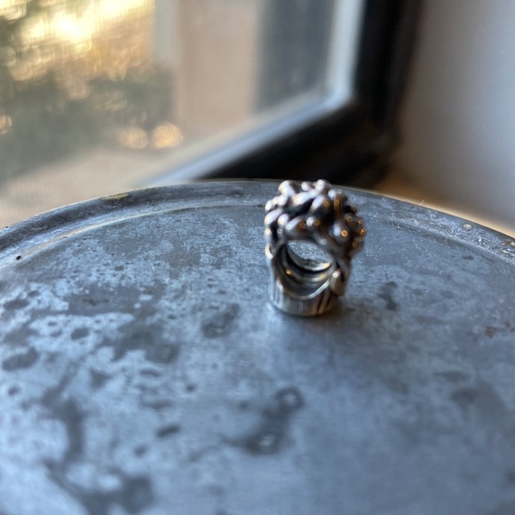 Pandora Flower Basket Charm - Picture 2 of 10